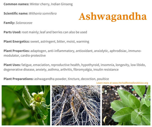 Where does Ashwagandha come from and how can it help with sleep?