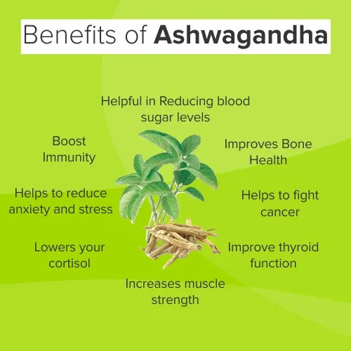 What is Ashwagandha & How can Ayurvedic Medicine help with Insomnia?